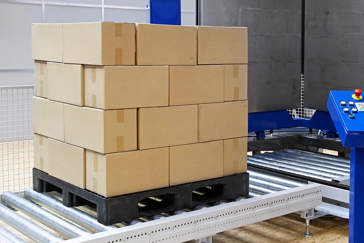 Cardboard boxes at transport pallet packer machine